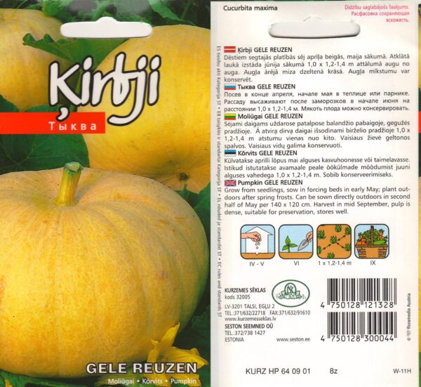 Kõrvits 'Gele Reuzen' 2g