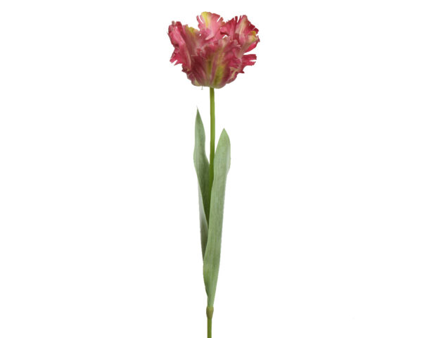 Kunstlill tulp 13x10x68cm fuksiaroosa