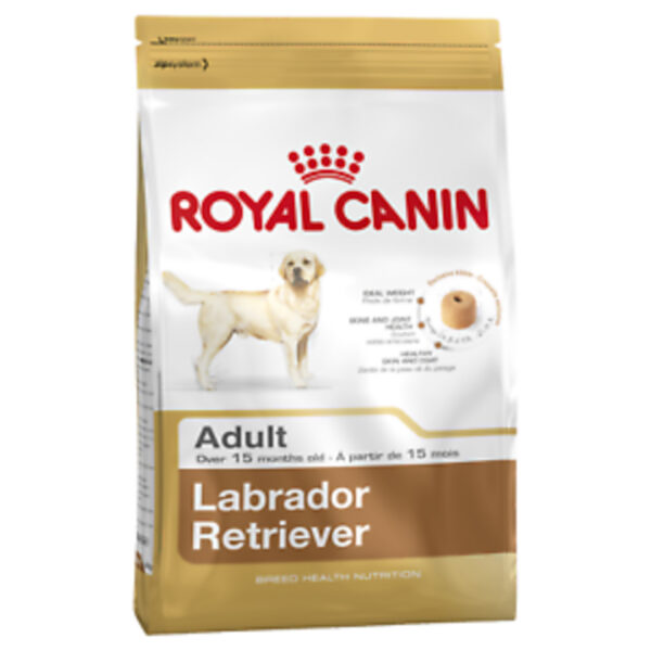 Royal Canin kuivtoit 12kg Labrador Retriiver täiskasvanud
