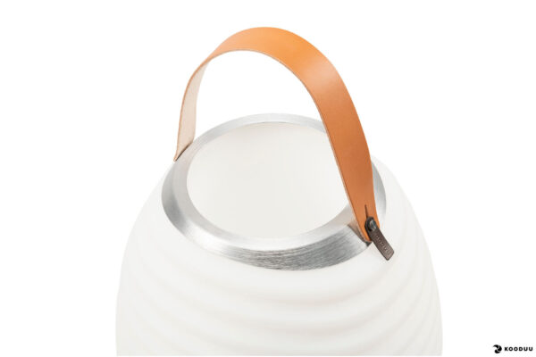 Bluetooth kõlar/LED valgusti SYNERGY65