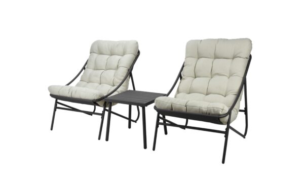 Komplekt 2 tooli ja laud t.hall