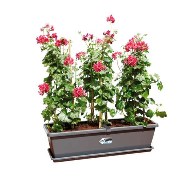 Rõdukast Barcelona XL 80cm hall