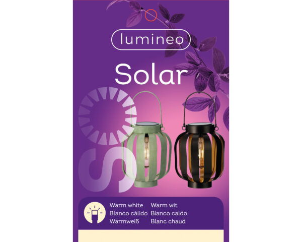 Solarvalgusti latern d17,5x h20,8cm soe valge, erinevad