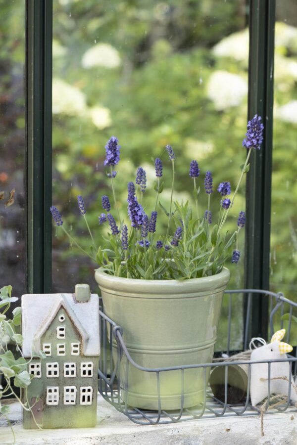 Küünlahoidja maja Nyhavn  6,5x20x10cm roheline