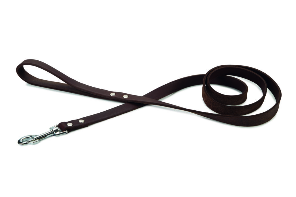 Beeztees Nylonhalsband Uni – Verstellbar 48–70 Cm, 2,5 Cm Breit | Hellgrau Mit Gummischnalle | Klick-Verschluss