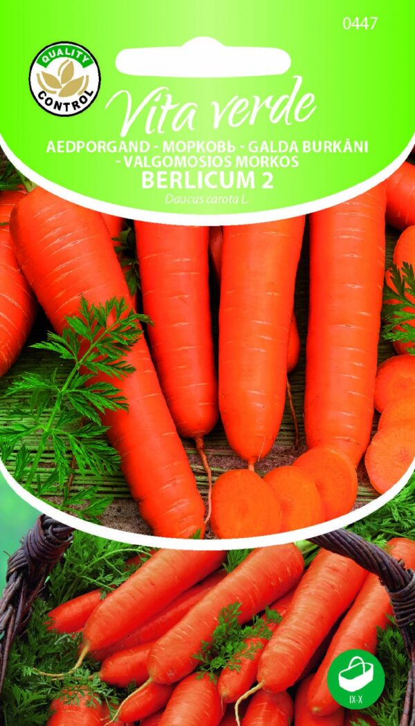 Porgand 'Berlicum 2'