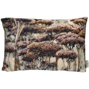 Dekoratiivpadi Eucharis 40x60cm pruun