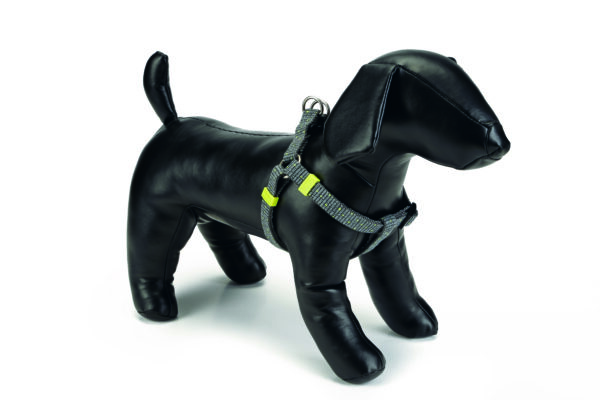 Beeztees rakmed koerale 60-100cm x25mm tumehall vista nailon