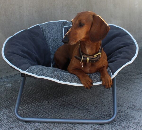 Lemmiklooma tool Casual Living 72x 69x 42cm hall