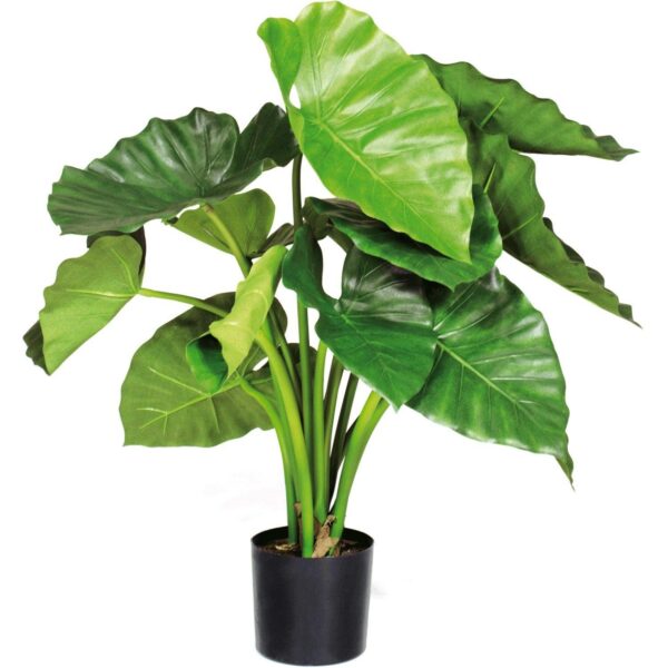 Kunsttaim Alocasia 60cm roheline