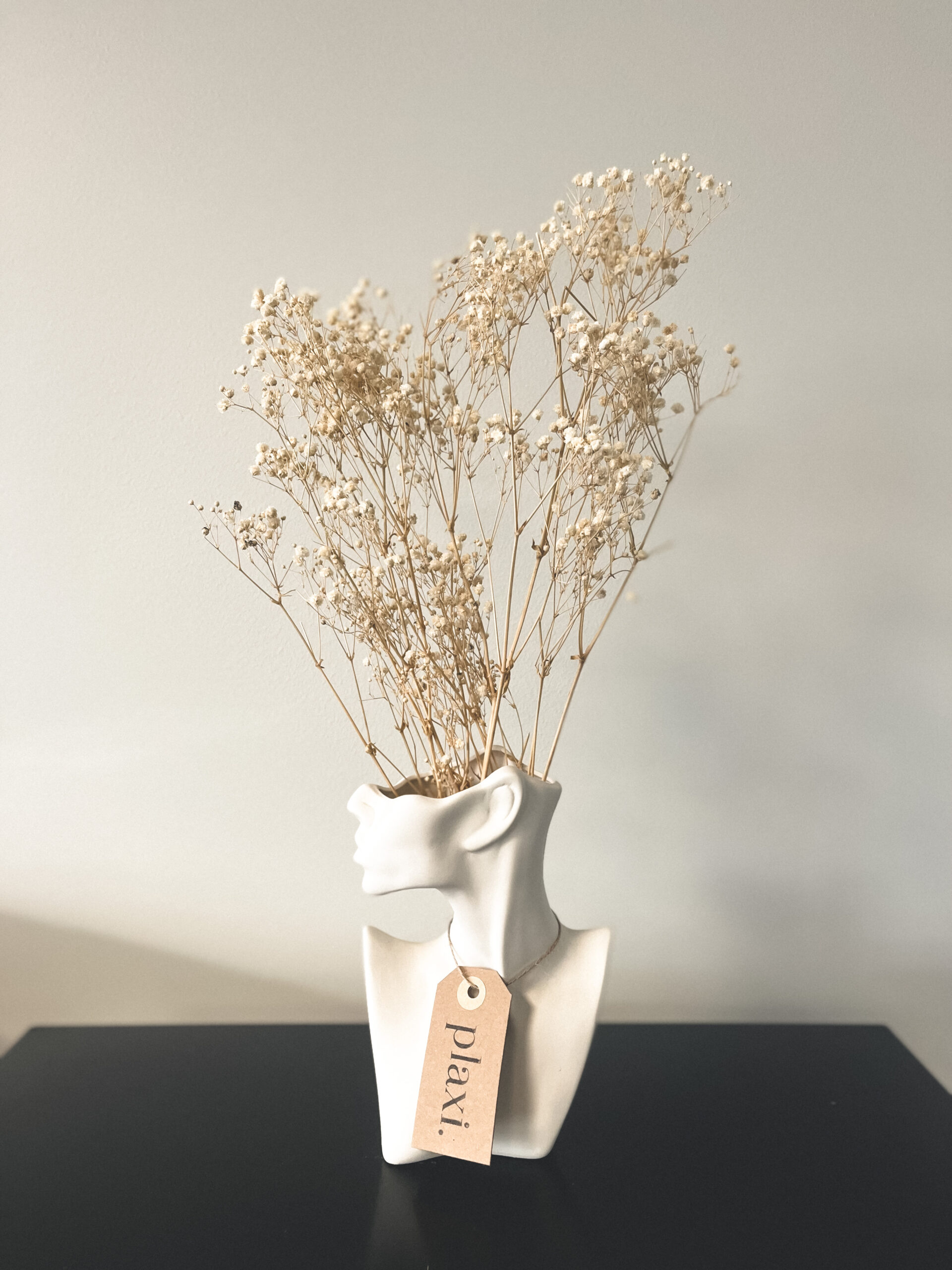 Kuivatatud Kipslill, kimp | Gardest