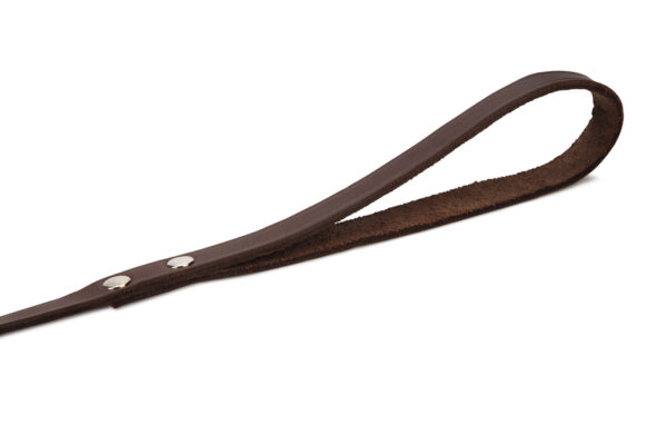 Jalutusrihm BZ nahast 165cm x 16mm pruun