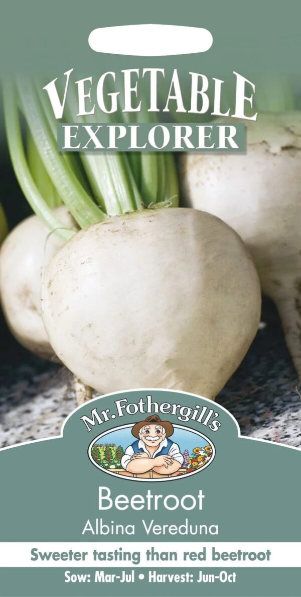 Punapeet 'Albina Vereduna' 100s