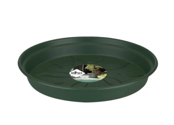 Istutuspoti alus Green basics 10cm leheroheline