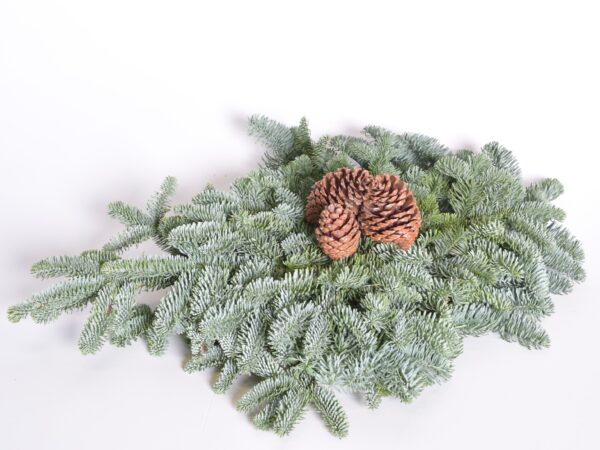 Naturaalne nulu rosett 50cm