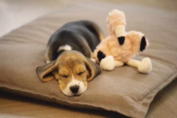 Mänguasi koerale flamingo Mick 27x10x18cm roosa