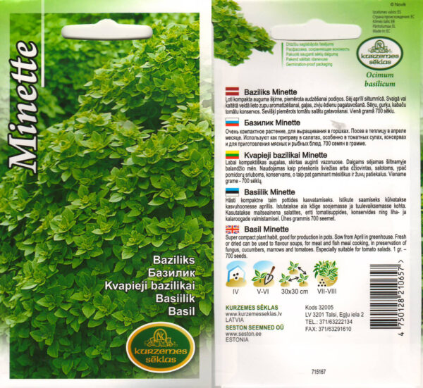 Väike basiilik 'Minette'