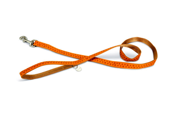 Beeztees jalutusrihm koerale 120cm x20mm pruun macleather