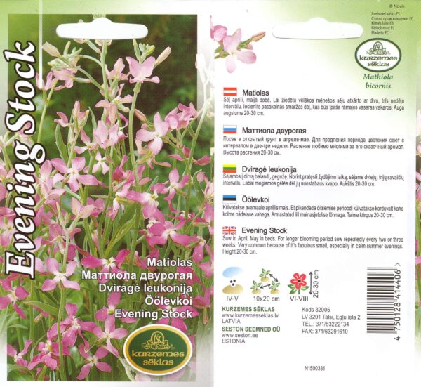 Öölevkoi 'Evening Stock'