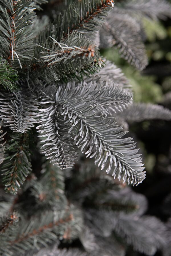 Kunstkuusk Abies Nordmann Deluxe H185