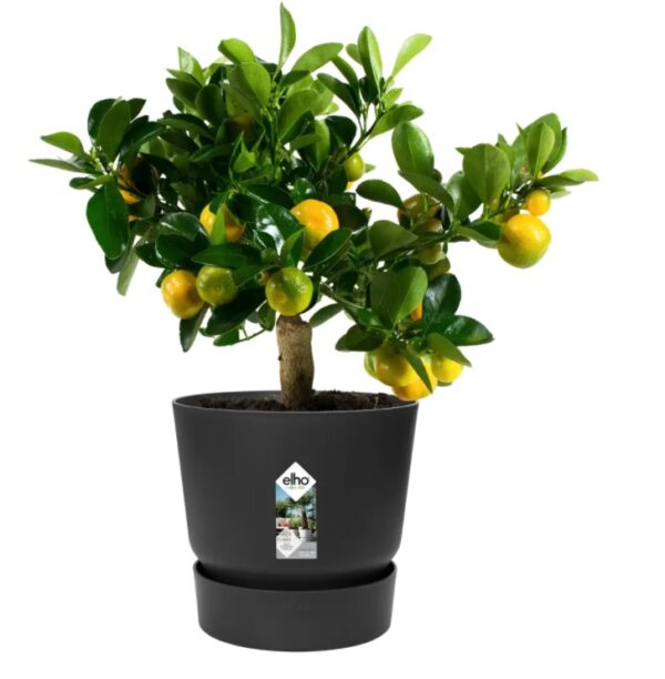 Lillepott Greenville Ø24,5x h23cm hall