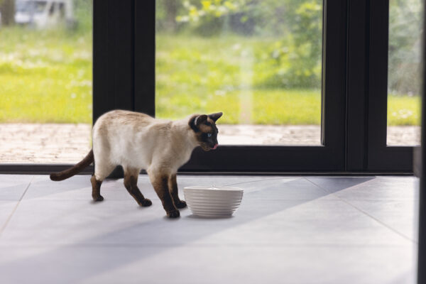 Purskkaev Beeztees lemmikloomale 1,5L 21x21x9cm valge