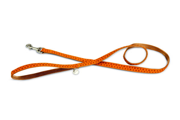 Beeztees jalutusrihm koerale 120cm x15 mm pruun macleather