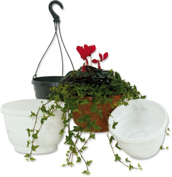 Rippampel Komeet valge 20cm