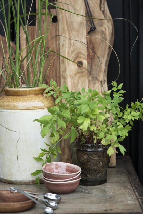 Lillepott Ø10,5x h11cm klaasist, läbipaistev