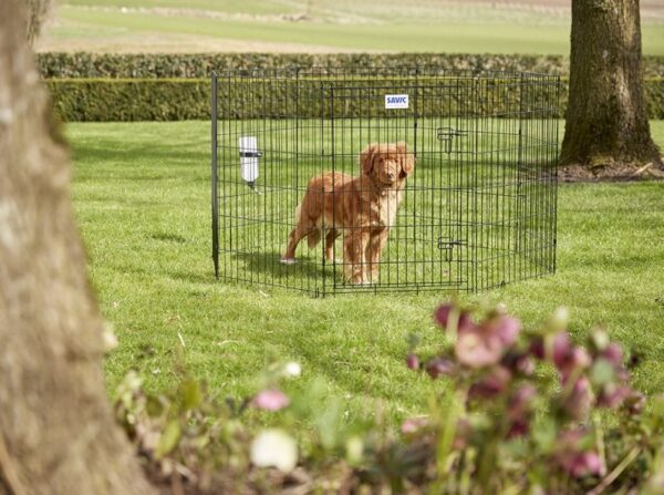 Koera aedik Savic dog park 2 8 paneeli 61x91cm