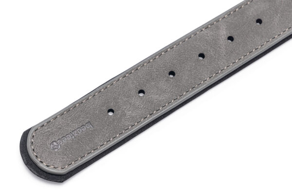 Kaelarihm Beeztees koerale AX 52-62x3cm hall