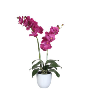 Kunstlill Phalaenopsis purple potis d12c