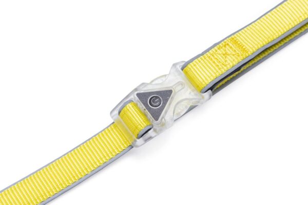 Jalutusrihm Beeztees Parinca 150x2cm kollane tulega