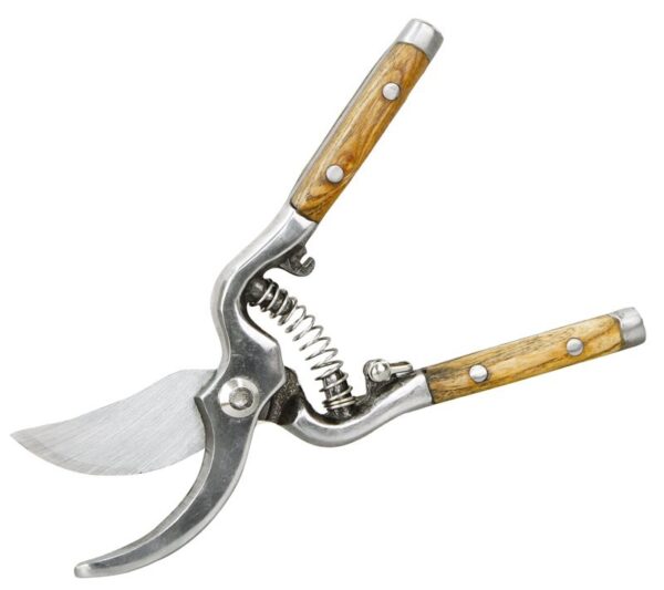 Rolson oksakäärid RL-82136