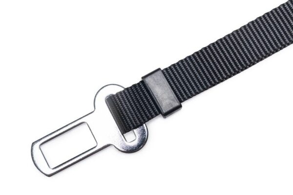 Turvavöö Beeztees NYL M 70x2cm must