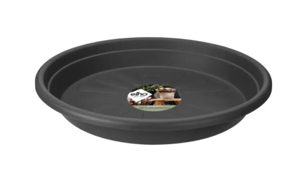 Istutuspoti alus universaalne Ø35cm tumehall