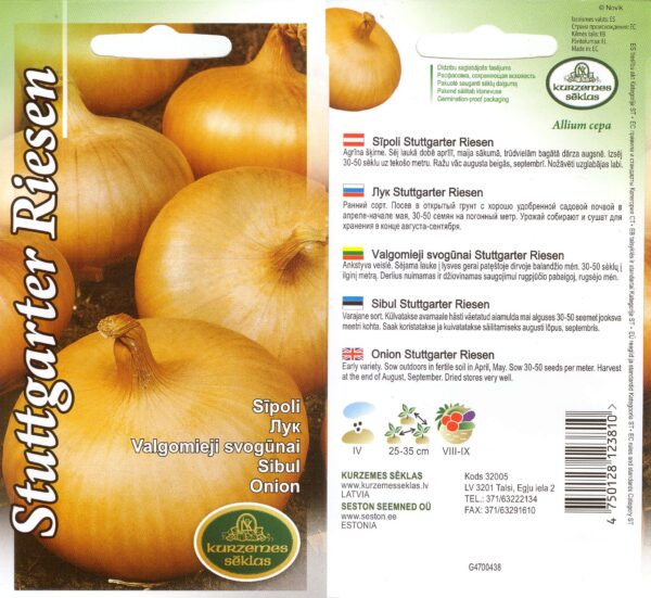 Sibul 'Stuttgarter Riesen' 2g