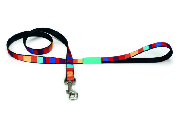 Beeztees rihm koerale 120cm x20mm triibuline nailon linio