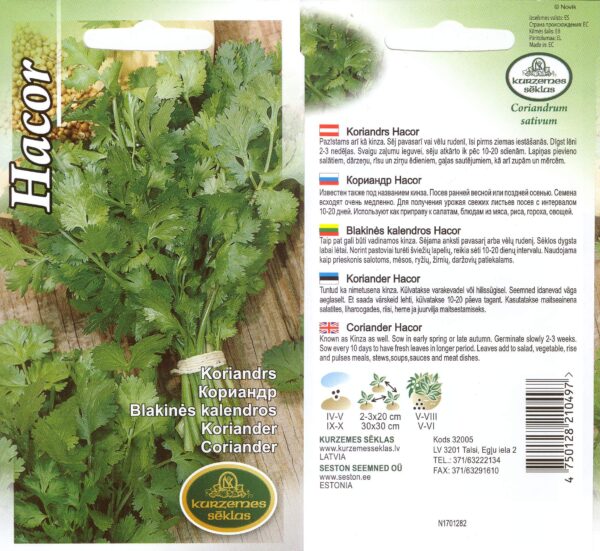 Aedkoriander 'Hacor'