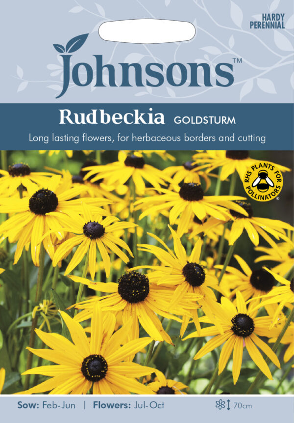 Sullivanti päevakübar 'Goldstrum' 125s