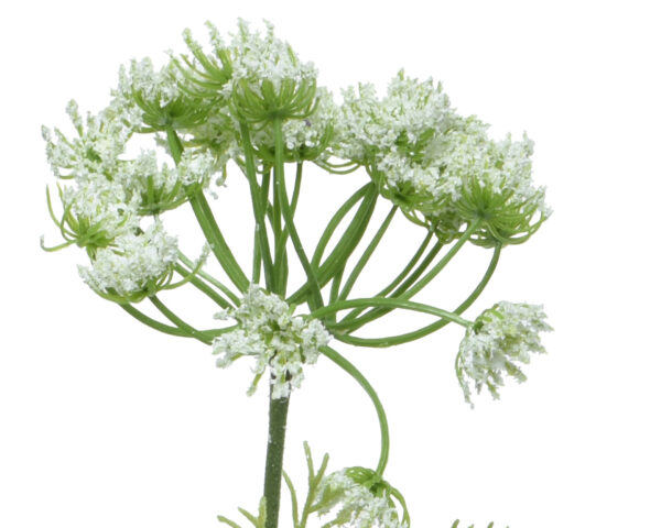 Kunsttaim harakputk 24x12x85cm valge