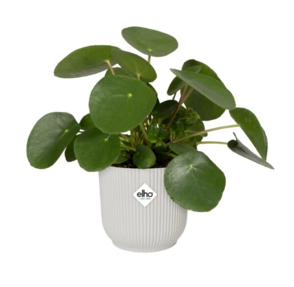 Lillepott Vibes Fold ümar Ø16x h15cm valge