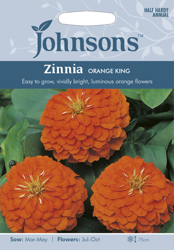 Pruudisõlg 'Orange King' 100s