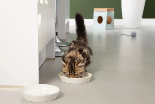 Beeztees kauss Zina 17,5x3,5cm