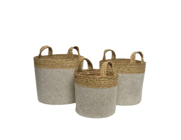 Korv vilditud, beez S