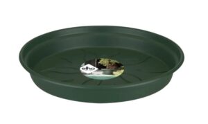 Istutuspoti alus Green Basics 17cm roheline