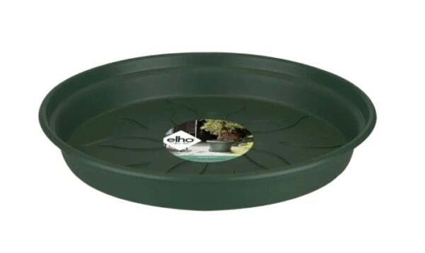 Istutuspoti alus Green Basics 17cm roheline