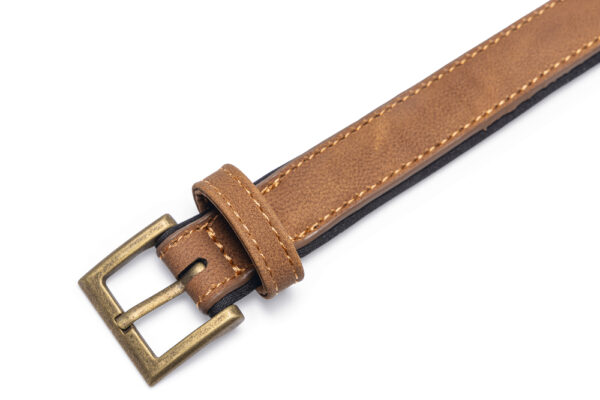 Kaelarihm Balacron AX 36-44x2cm pruun