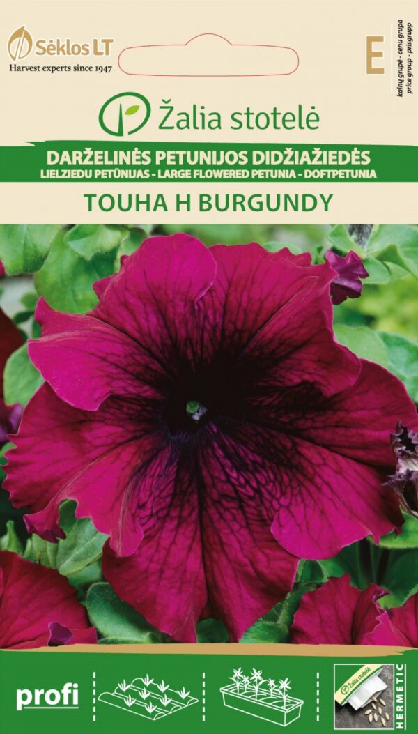 Ripp-petuunia 'Touha H Burgundy'