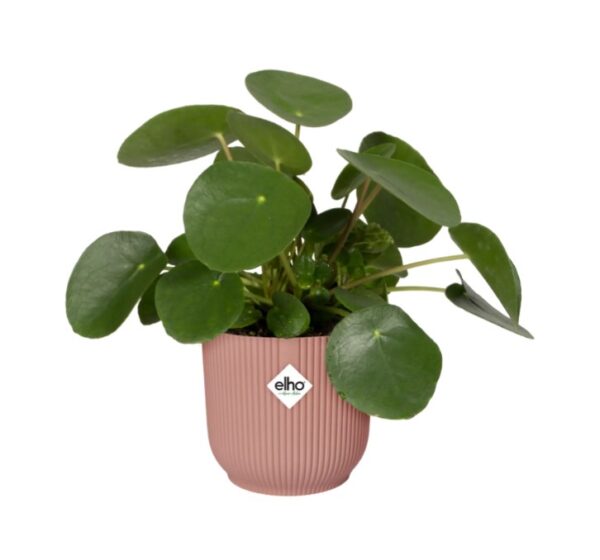 Lillepott Vibes Fold ümar Ø16x h15cm roosa